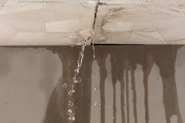 Professional Water Damage Restoration technician working in Cement City, MI